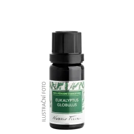Eukalyptus globulus 50 ml