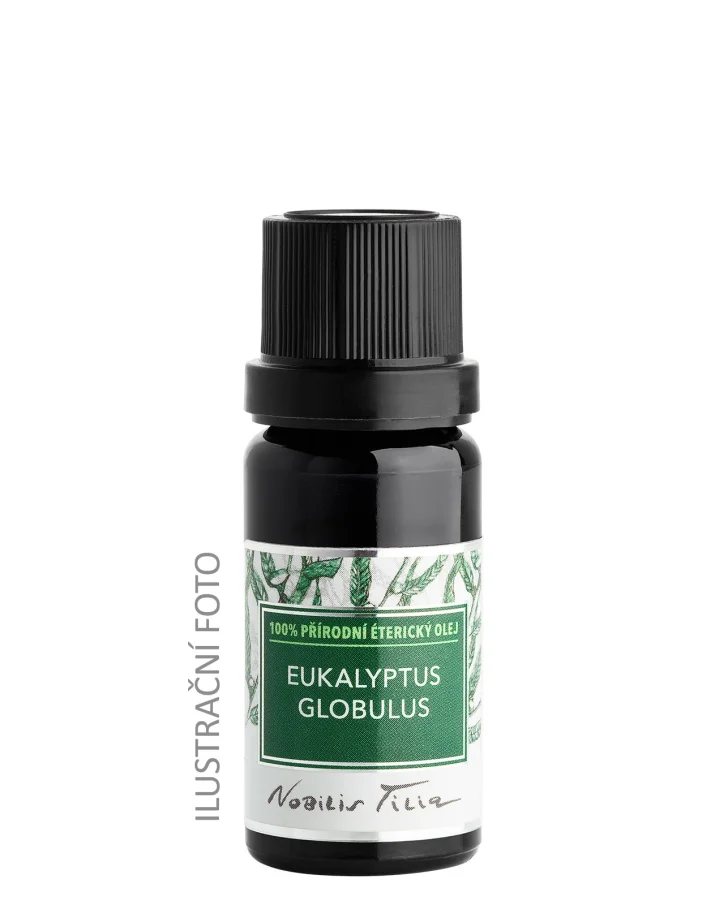Eukalyptus globulus 50 ml